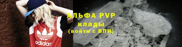 Альфа ПВП Верея