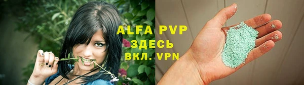 экстази Богданович