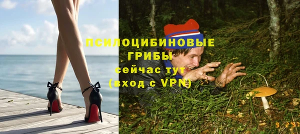 экстази Богданович