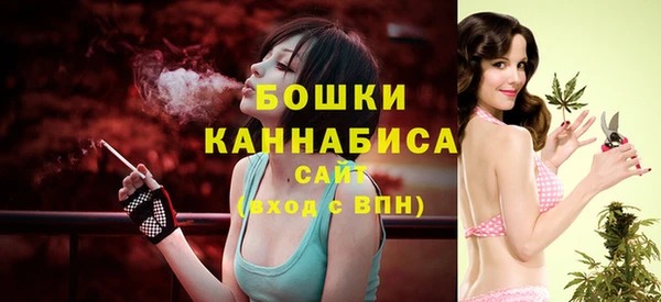 Альфа ПВП Верея